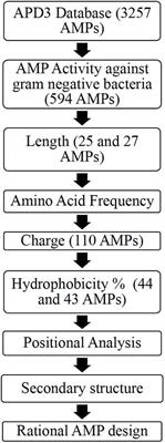 Ab initio Designed Antimicrobial Peptides Against Gram-Negative Bacteria